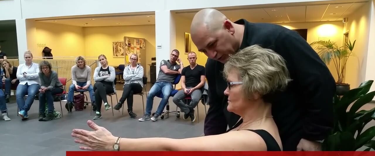 Chronic shoulder pain, declared functionally one-armed